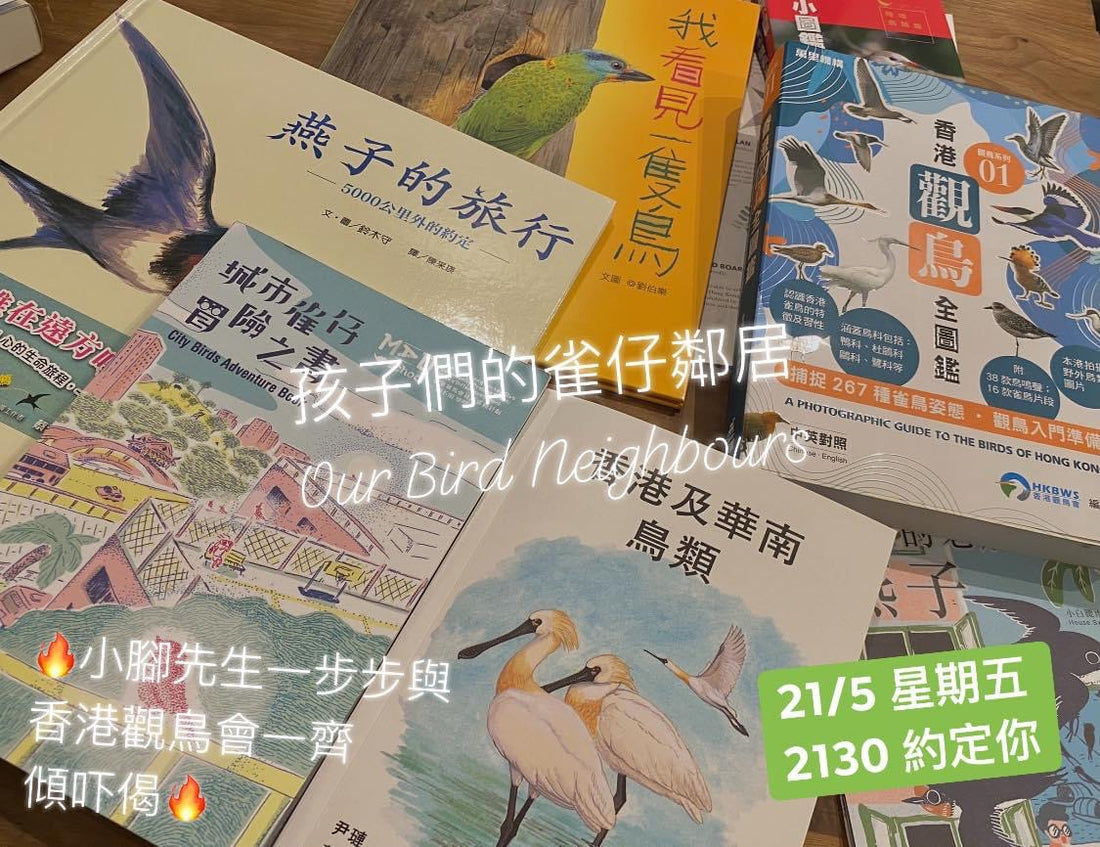 |香港生態跟我們的距離|孩子們的雀仔鄰居|