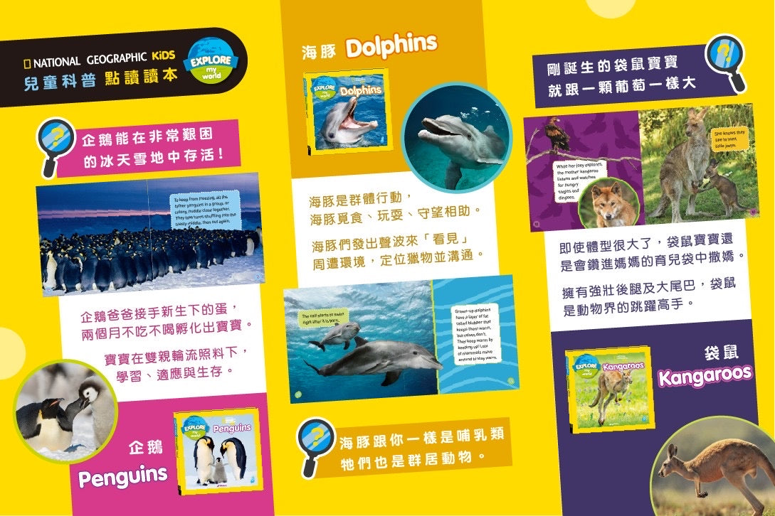 Explore My World 兒童科普點讀讀本 第2輯 (Penguins / Dolphins / Kangaroos / Frogs / Tigers / Rain Forests)