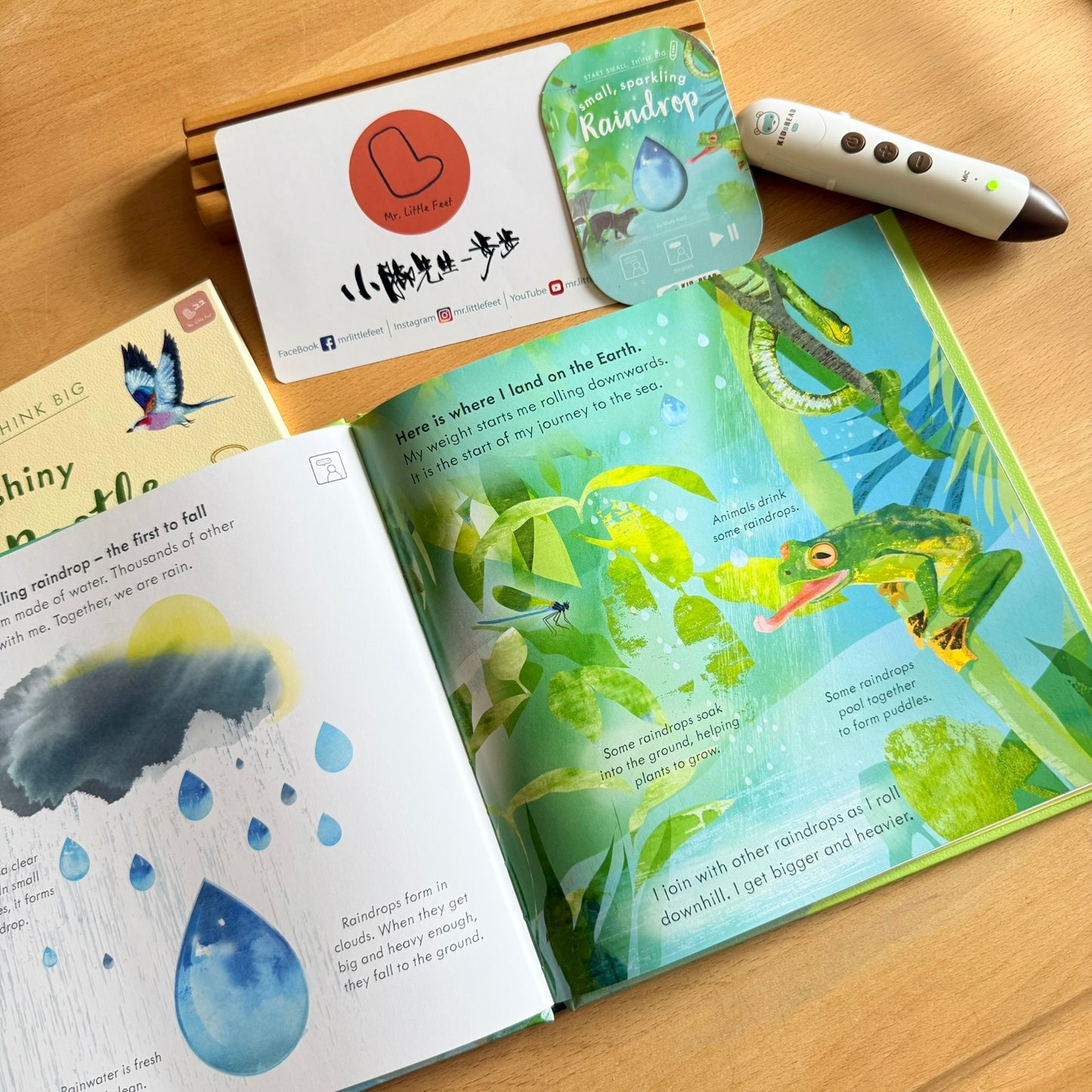 Start Small, Think Big 科普點讀書 (Raindrop / Dung Beetle)【小腳先生獨家送廣東話點讀貼紙#21-23及點讀學習單】