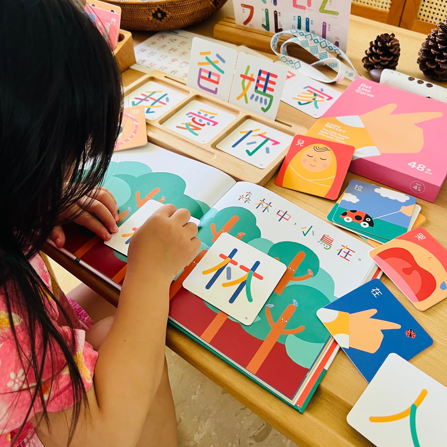 觸感中文寫字組合第一輯 + 第二輯 (The Little Learner Bundle + The Little Reader Bundle)