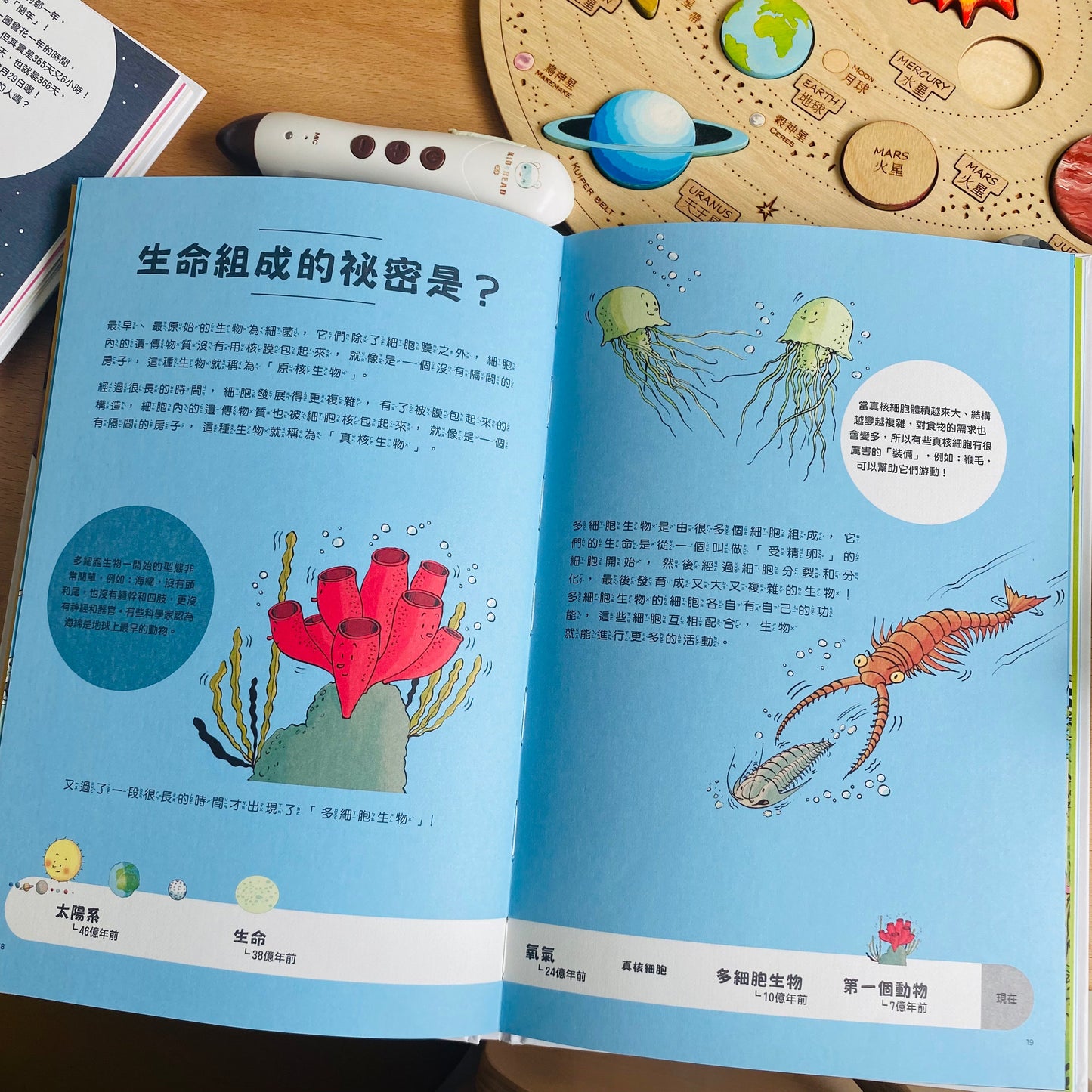 我的知識探索繪本第二輯 其實我們以前都一樣 / 雖然我們現在不一樣