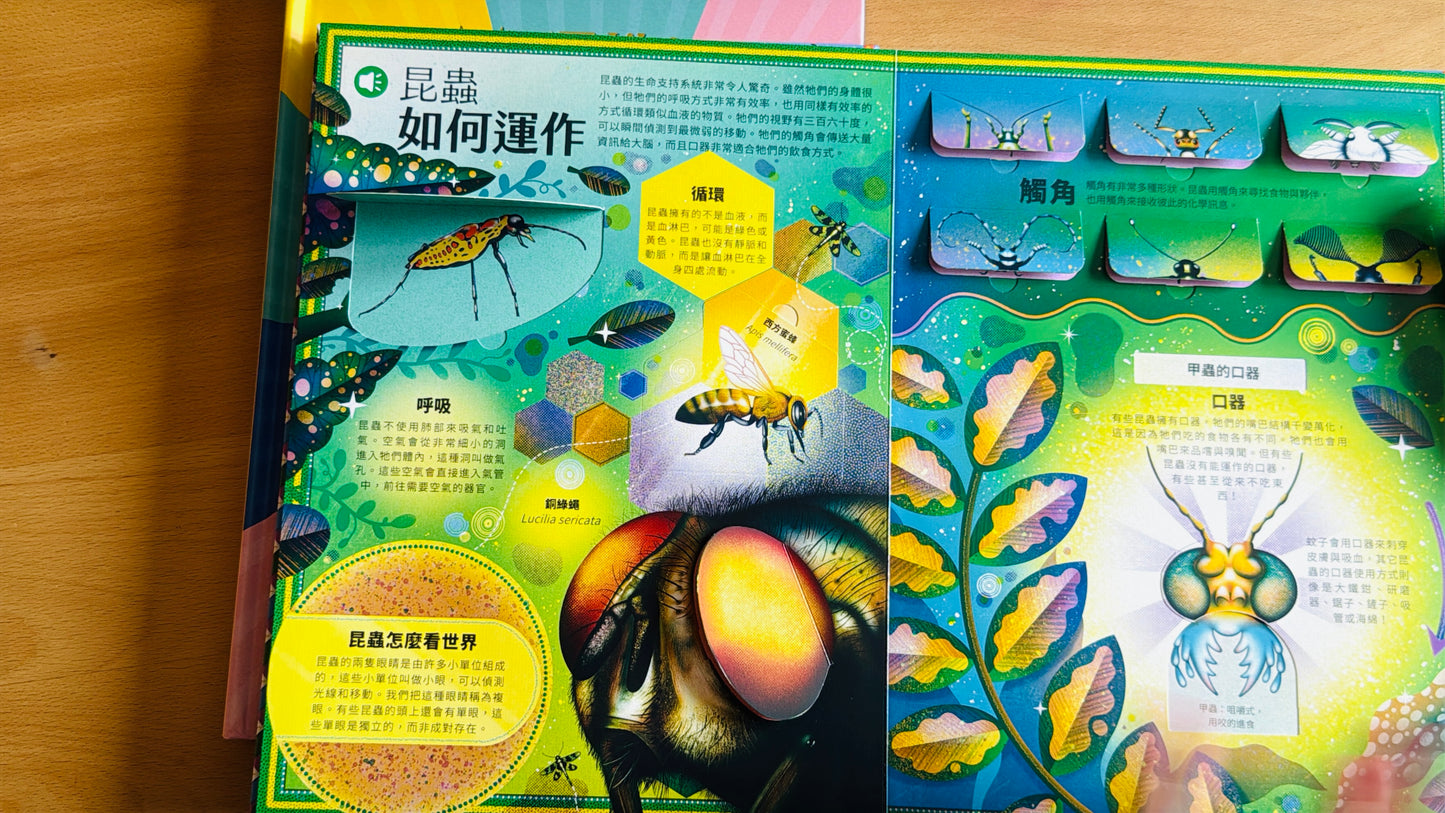 不可思議!昆蟲&木乃伊 立體互動點讀書