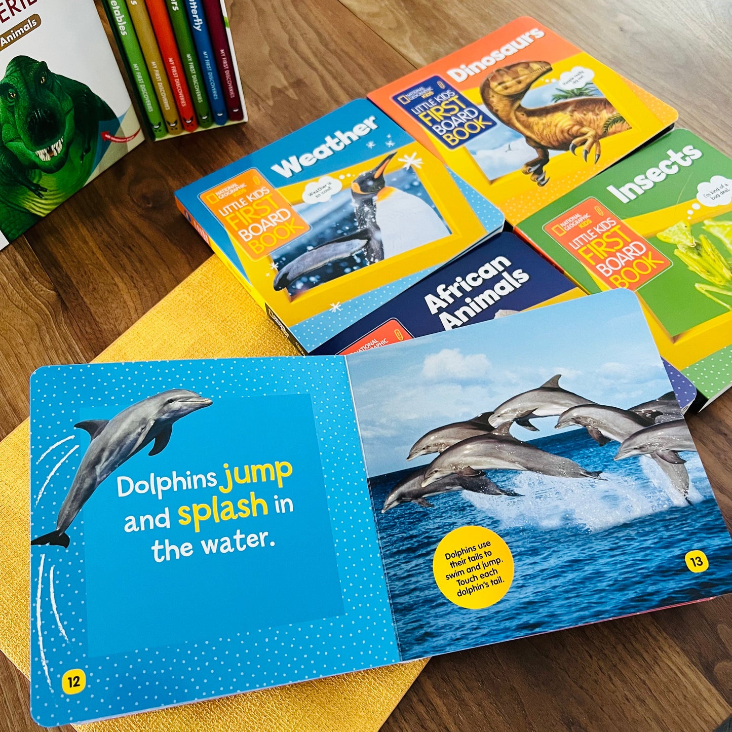 National Geographic Kids 兒童科普硬頁書 第2輯 (Dinosaurs / Weather / Animals On the Go / Insect / African Animals)