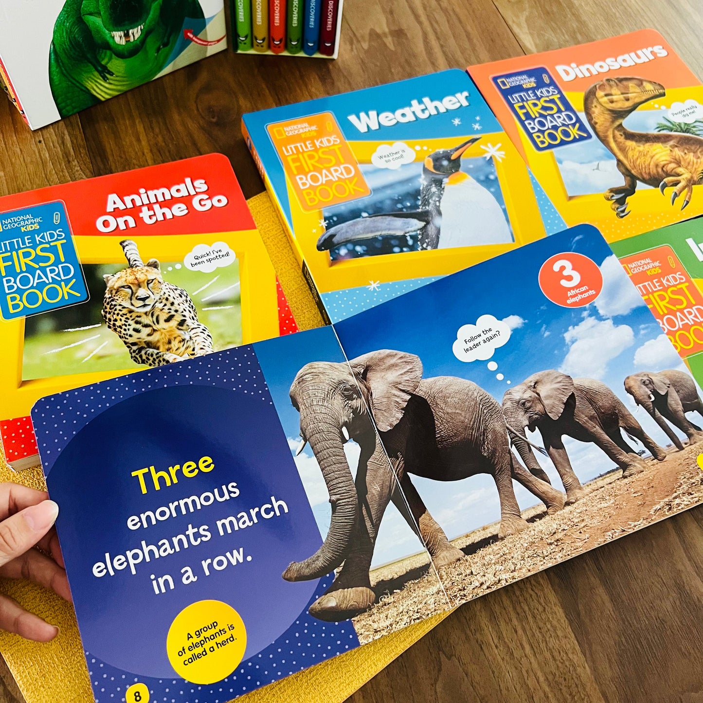 National Geographic Kids 兒童科普硬頁書 第2輯 (Dinosaurs / Weather / Animals On the Go / Insect / African Animals)