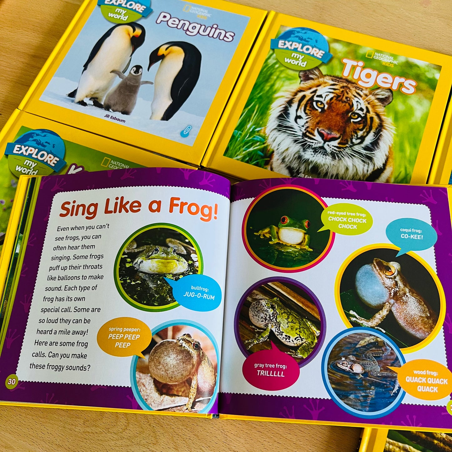 Explore My World 兒童科普點讀讀本 第2輯 (Penguins / Dolphins / Kangaroos / Frogs / Tigers / Rain Forests)