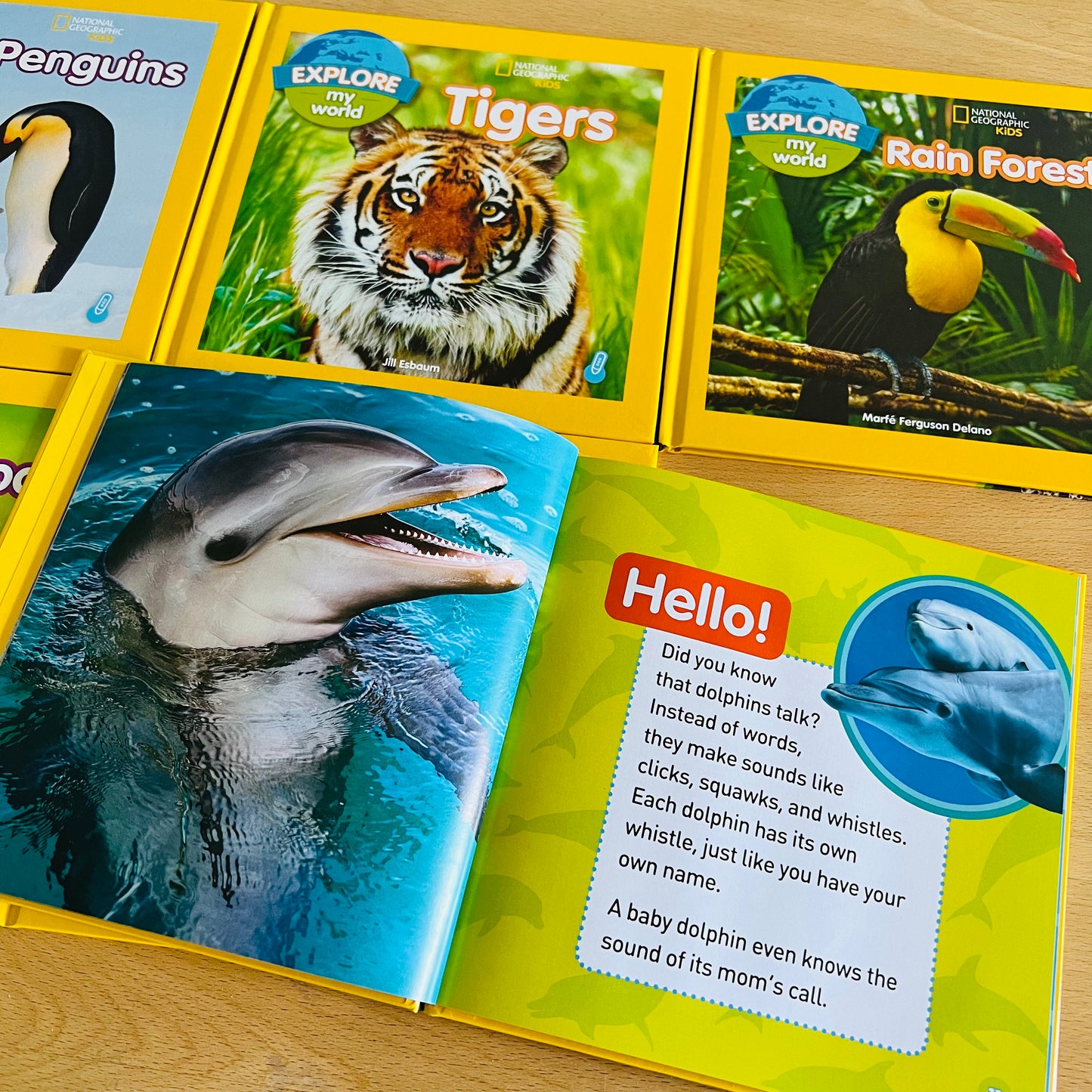 Explore My World 兒童科普點讀讀本 第2輯 (Penguins / Dolphins / Kangaroos / Frogs / Tigers / Rain Forests)