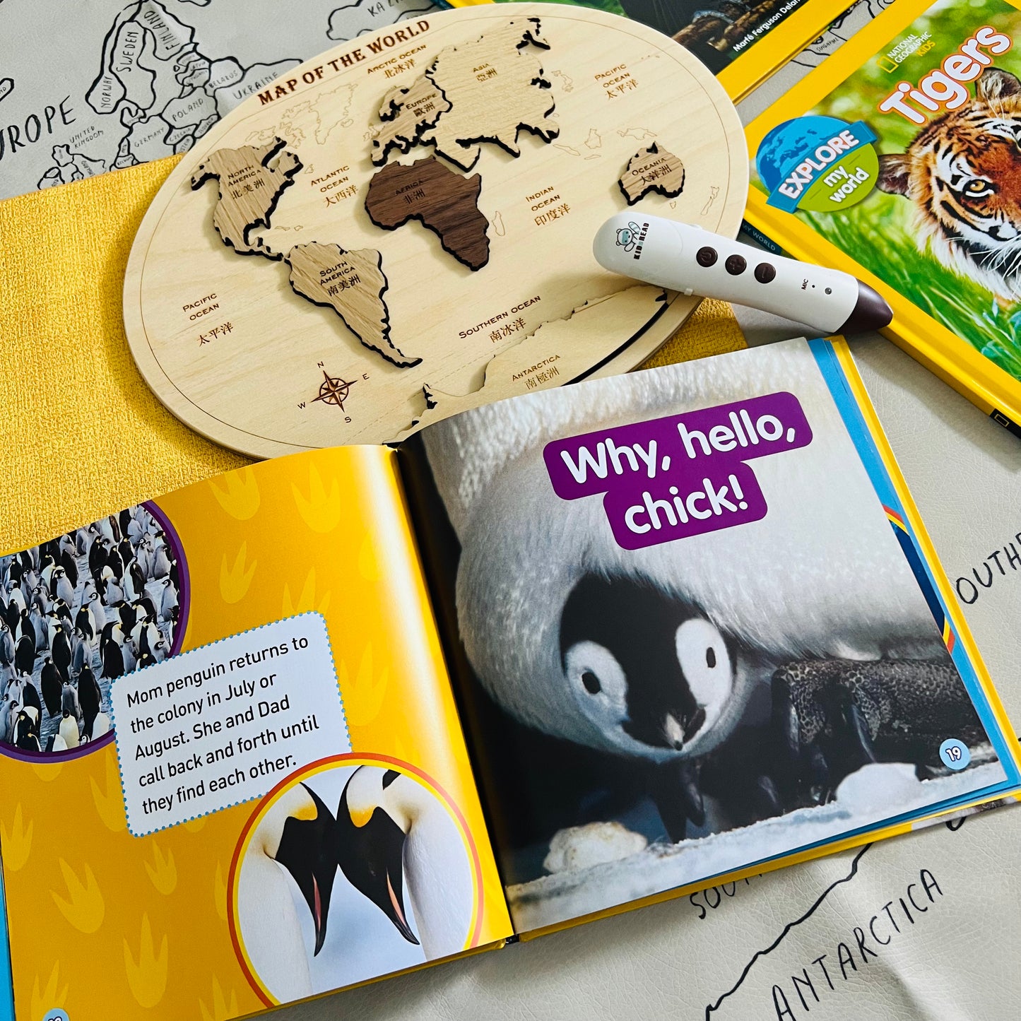Explore My World 兒童科普點讀讀本 第2輯 (Penguins / Dolphins / Kangaroos / Frogs / Tigers / Rain Forests)