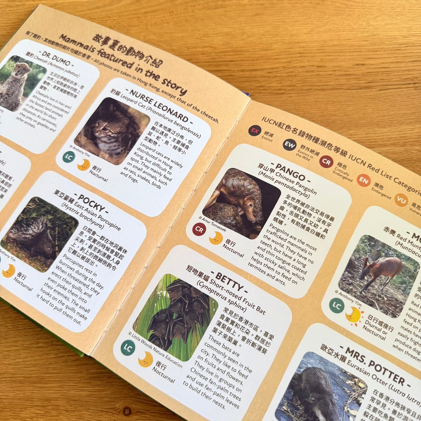 快閃套組:「香港交通及香港野生動物點讀版海報+ufixx 插卡透明白板 (A3)」
