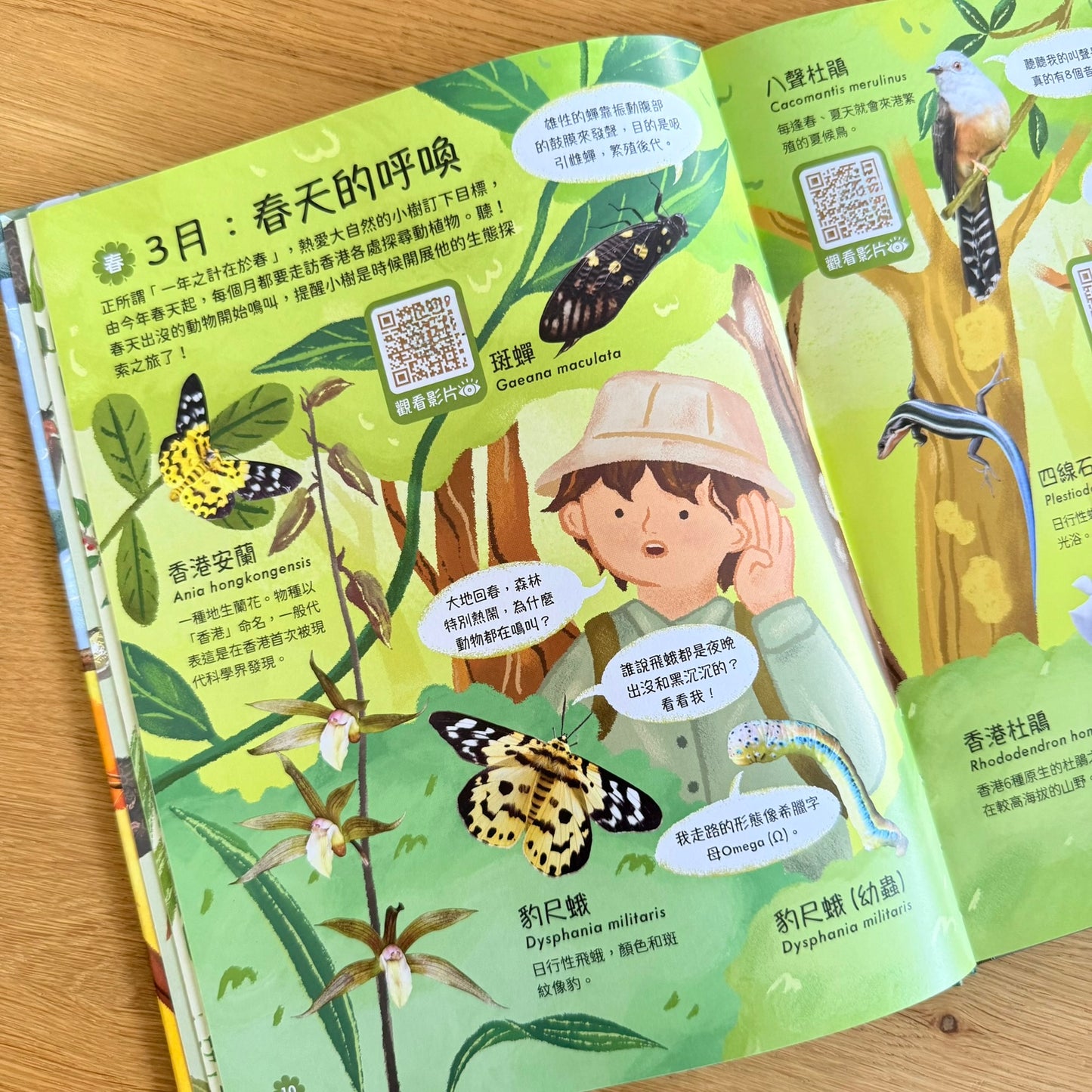 快閃套組:「香港交通及香港野生動物點讀版海報+ufixx 插卡透明白板 (A3)」
