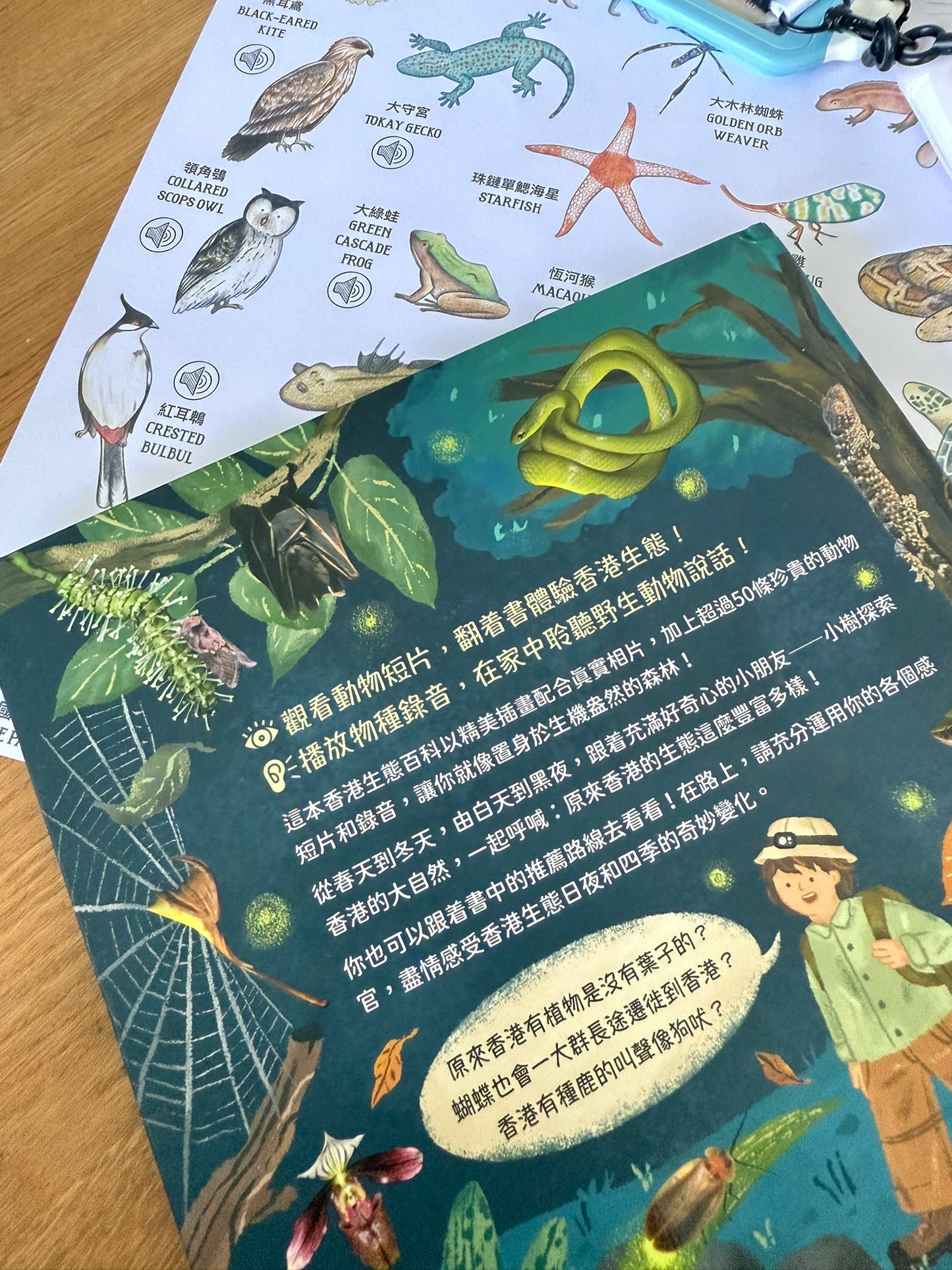 大自然四季日夜奇遇記,請得到看得見的香港生態百科 (非點讀)