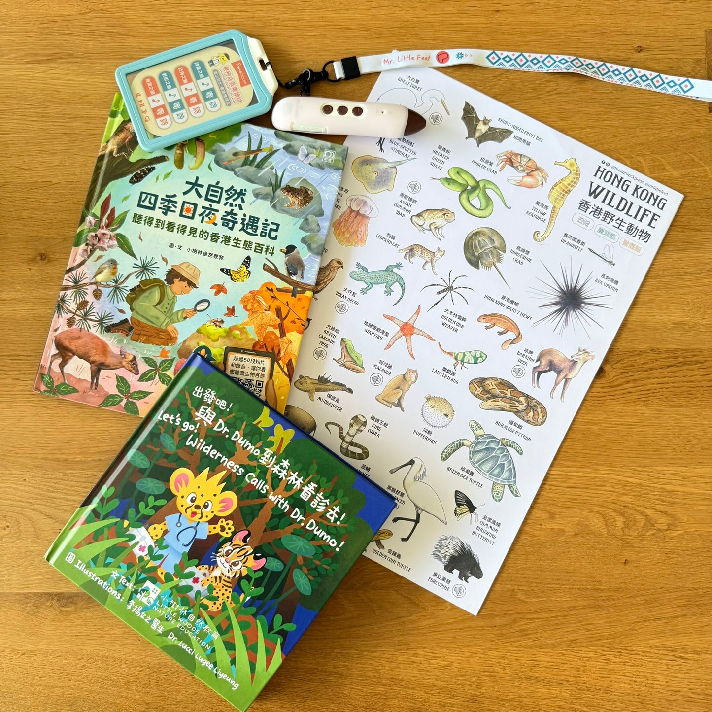 大自然四季日夜奇遇記,請得到看得見的香港生態百科 (非點讀)
