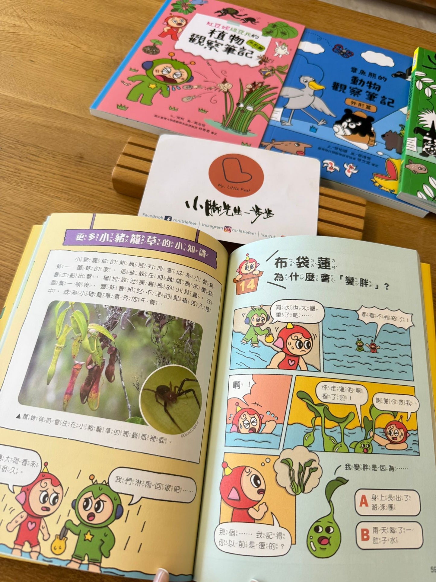 康軒學習雜誌 - 初階版 (2026年7月優惠團)