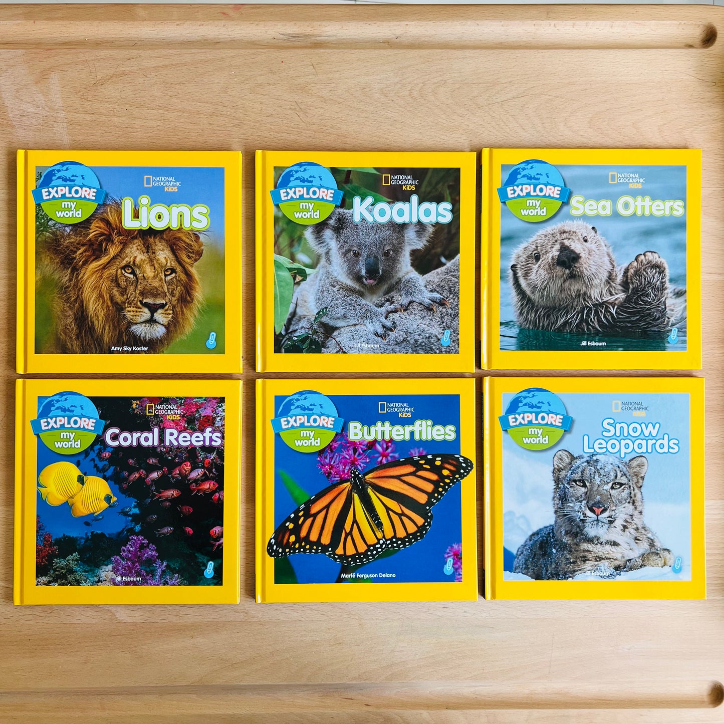 Explore My World 兒童科普點讀讀本 第1輯 (Sea Otters / Koalas / Butterflies / Lions / Snow Leopards / Coral Reefs)