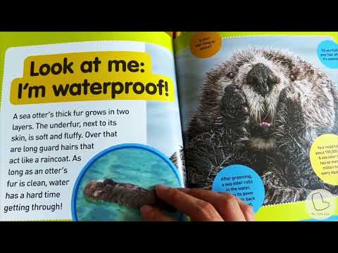Explore My World 兒童科普點讀讀本 第1輯 (Sea Otters / Koalas / Butterflies / Lions / Snow Leopards / Coral Reefs)