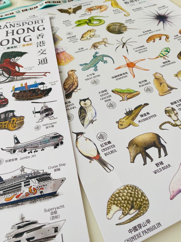 快閃套組:「香港交通及香港野生動物點讀版海報+ufixx 插卡透明白板 (A3)」