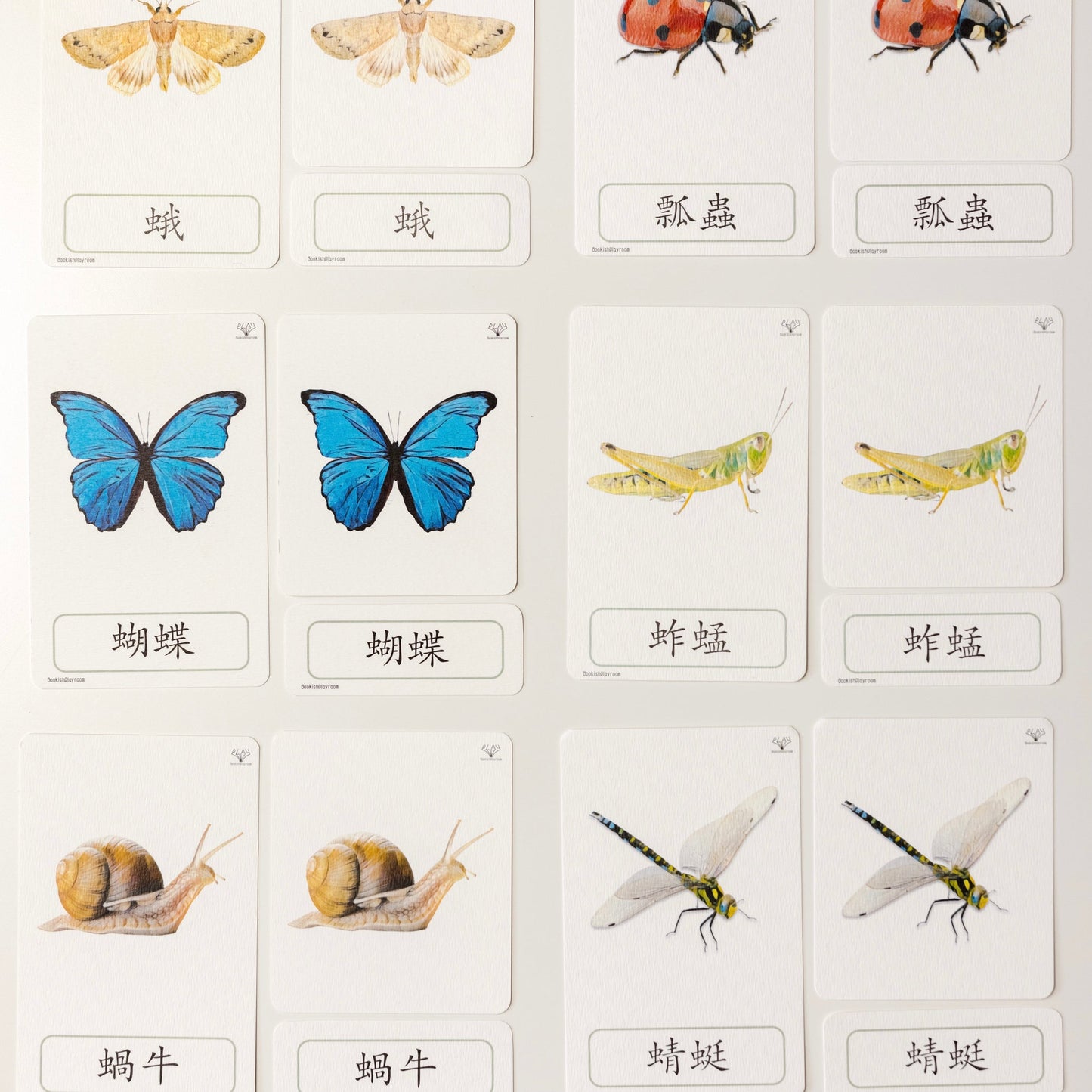 幼兒認知三部卡 (昆蟲朋友主題) 3 Part Cards (Minibeasts)