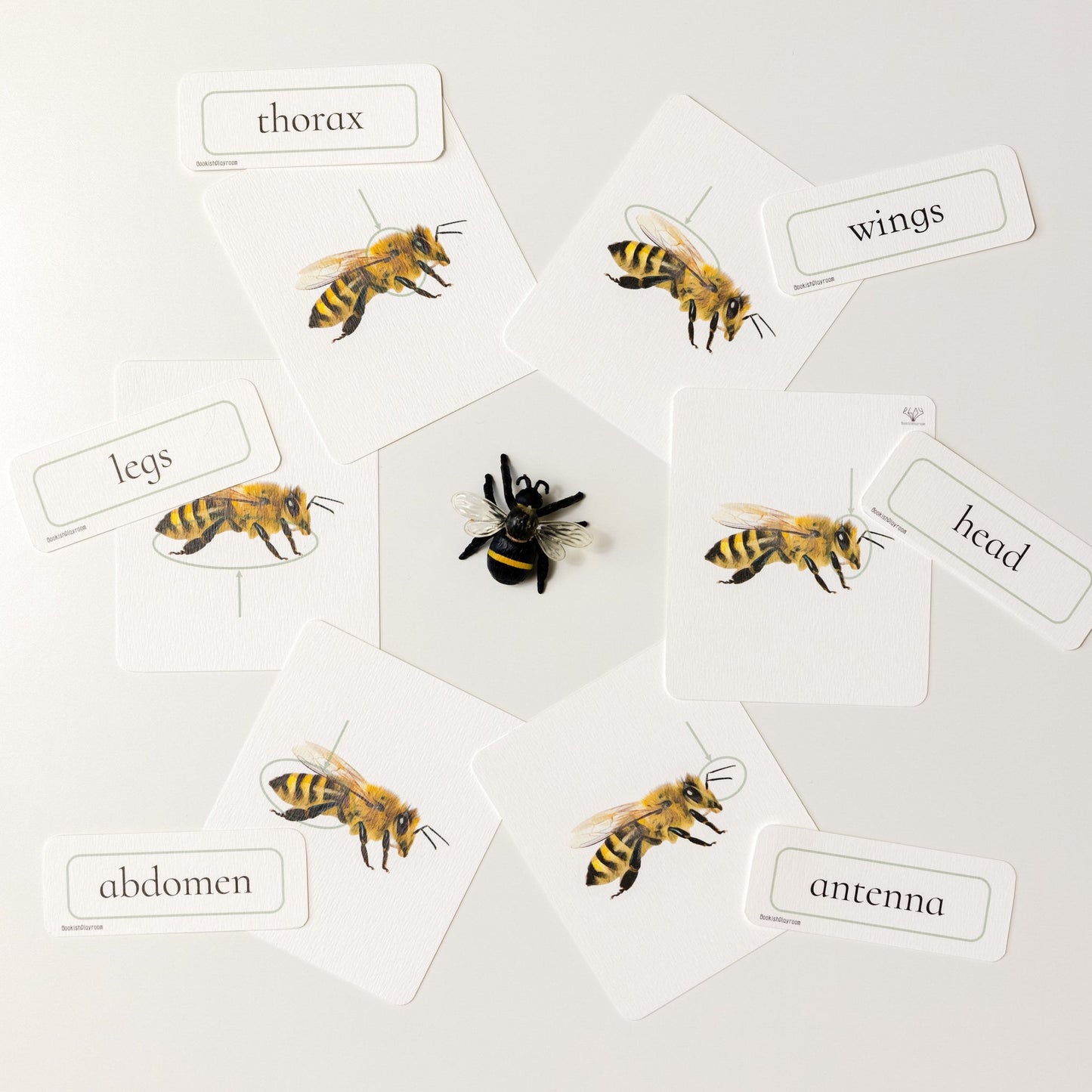 幼兒認知三部卡 (昆蟲朋友主題) 3 Part Cards (Minibeasts)