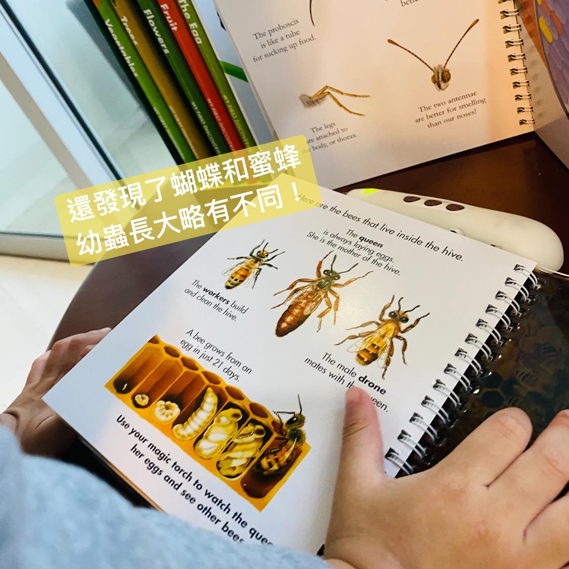 My First Discoveries 中文情境故事入門 套組
