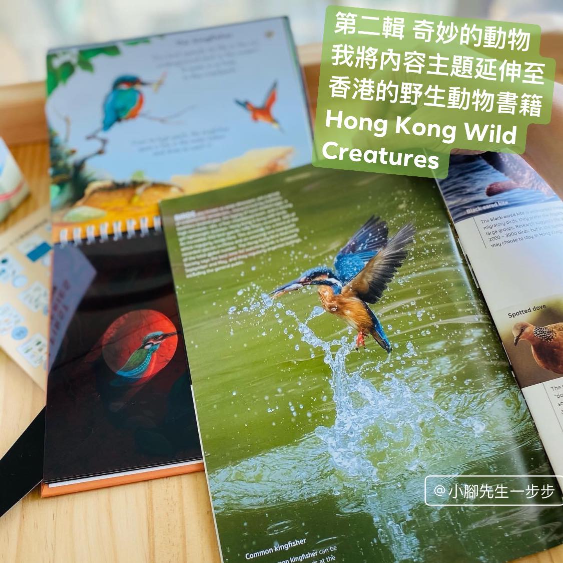 My First Discoveries 中文情境故事入門 套組