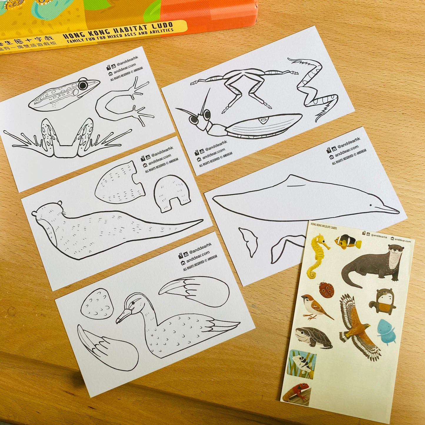 香港野生動物卡 Hong Kong Wildlife Cards(中英對照)