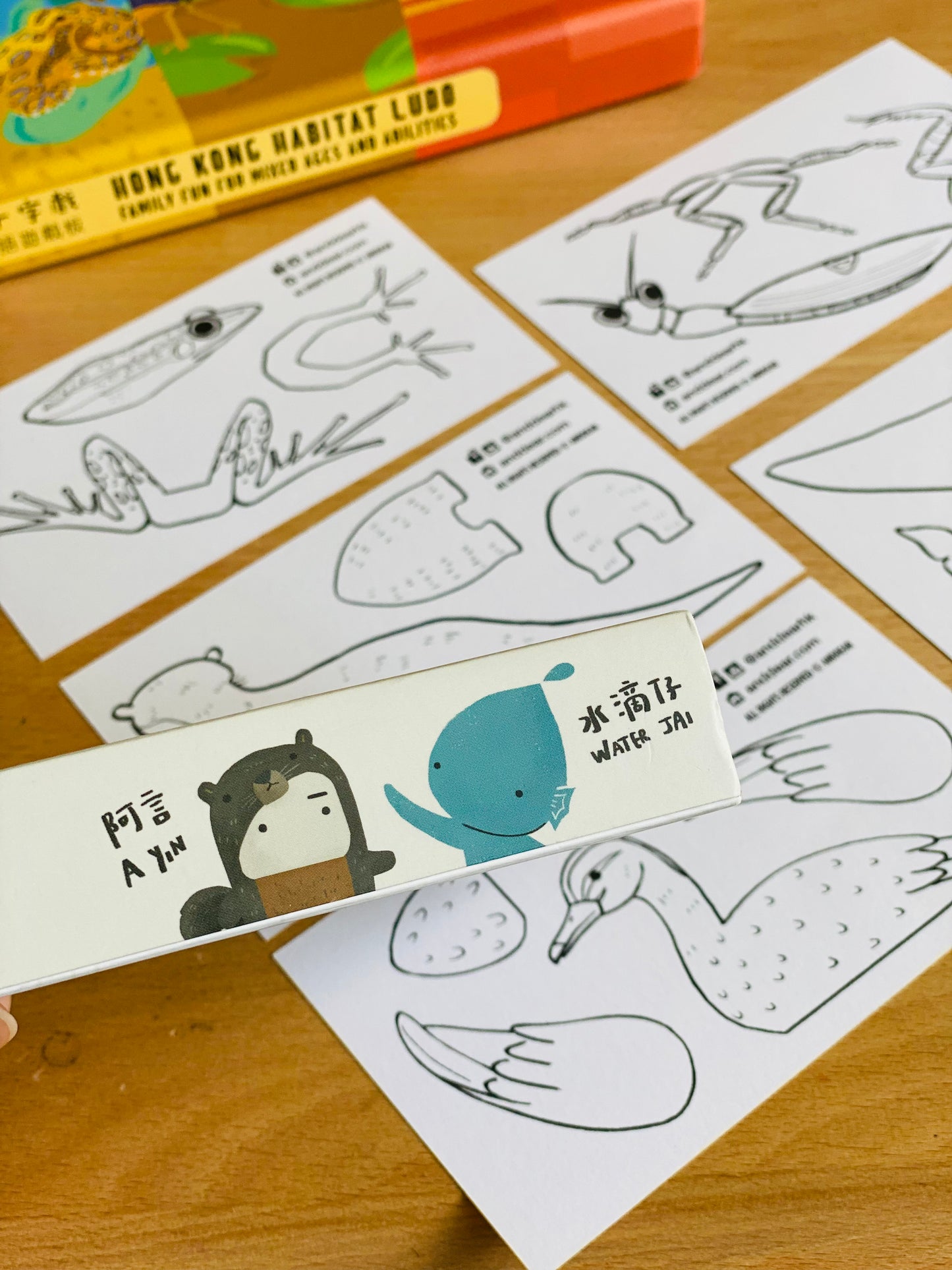 香港野生動物卡 Hong Kong Wildlife Cards(中英對照)