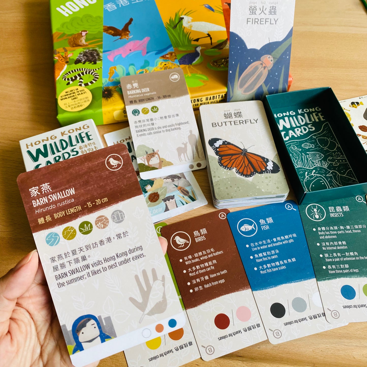 香港野生動物卡 Hong Kong Wildlife Cards(中英對照)