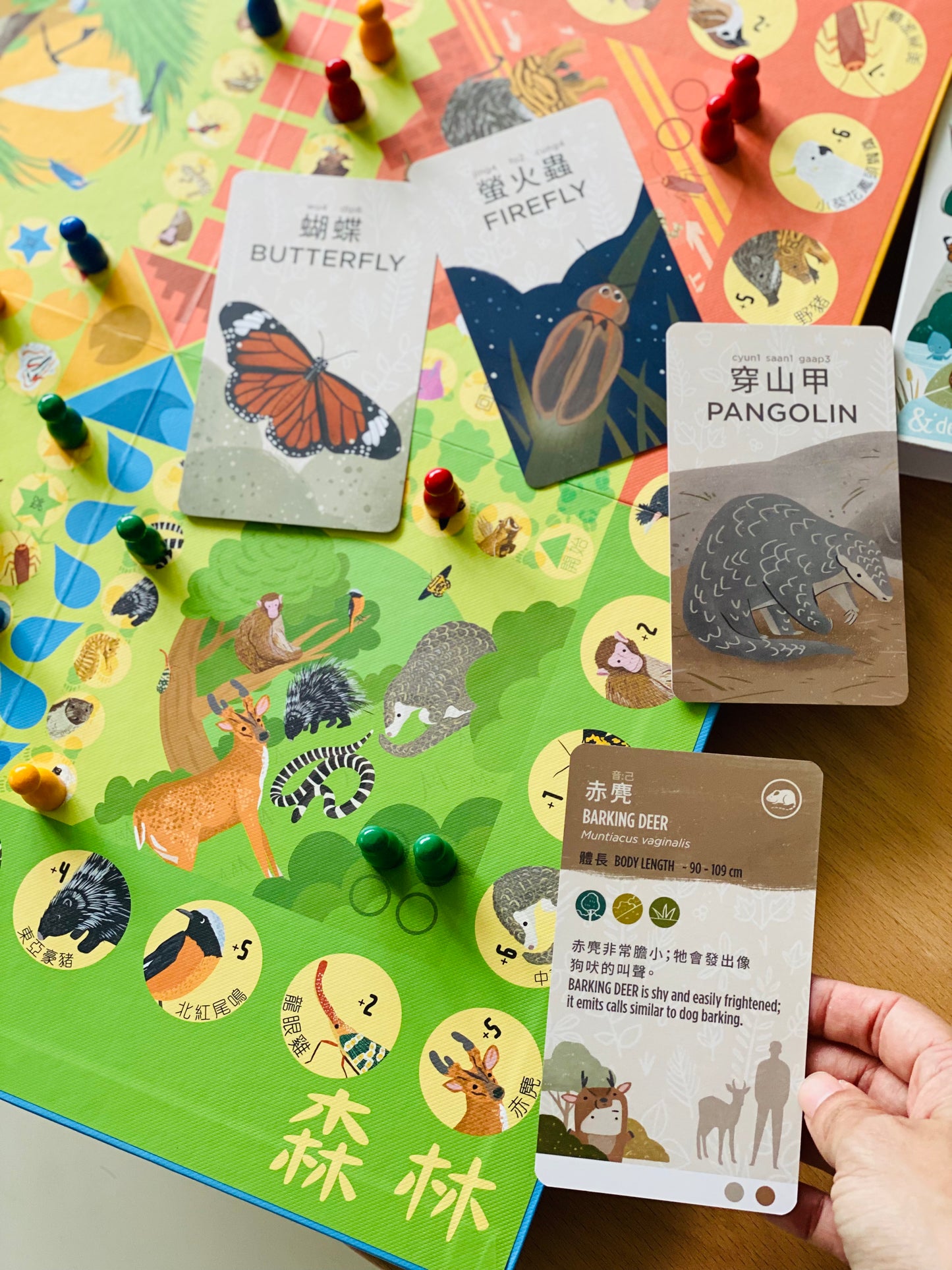香港野生動物卡 Hong Kong Wildlife Cards(中英對照)