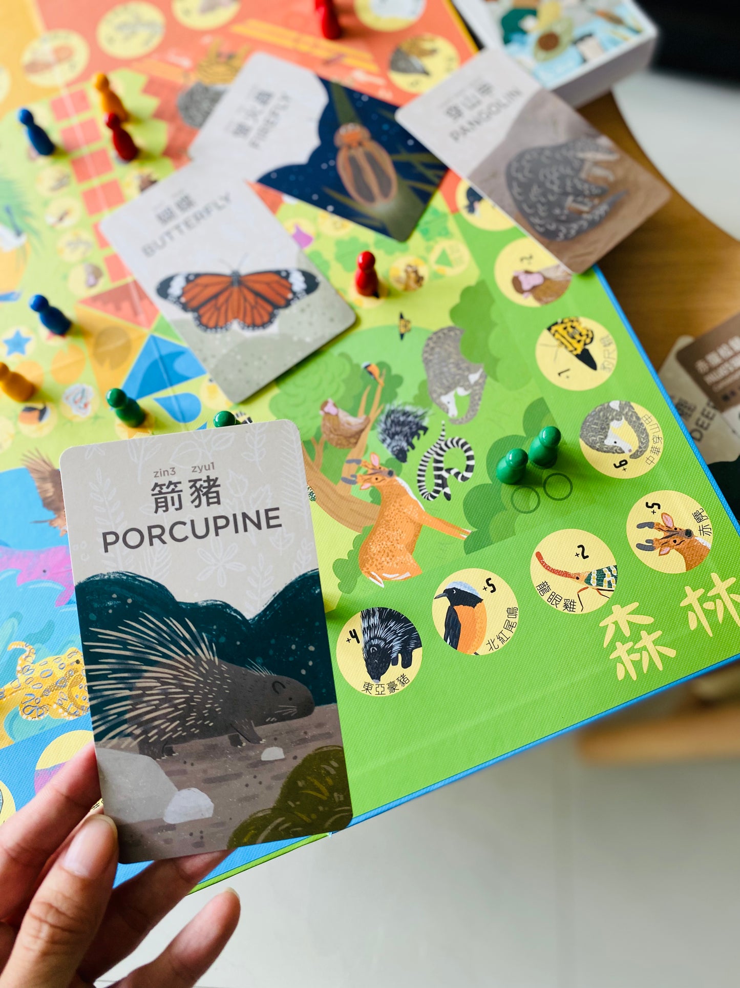 香港野生動物卡 Hong Kong Wildlife Cards(中英對照)