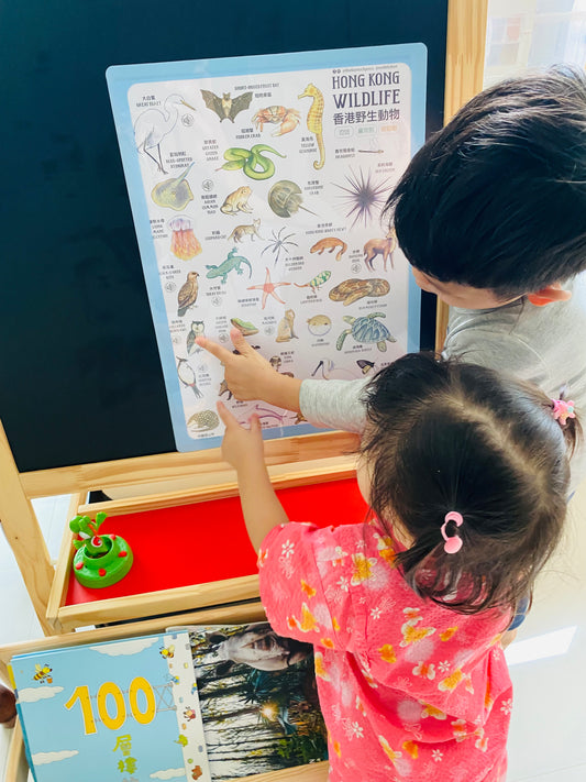 ufixx 插卡透明白板 (A3) - 限量送 (A5)