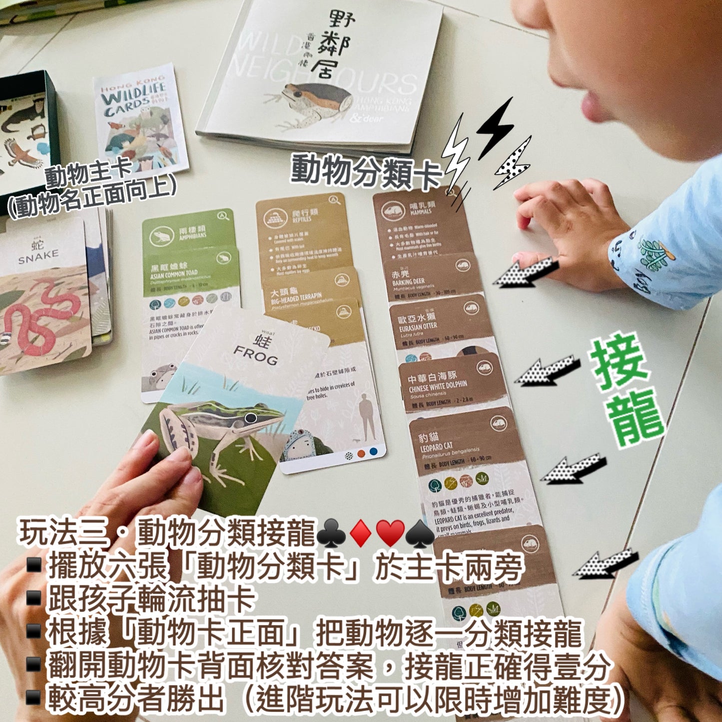 香港野生動物卡 Hong Kong Wildlife Cards(中英對照)