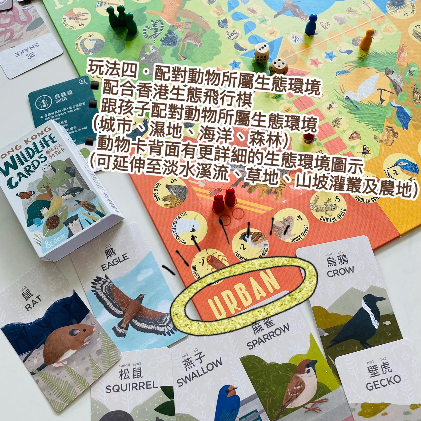 香港野生動物卡 Hong Kong Wildlife Cards(中英對照)