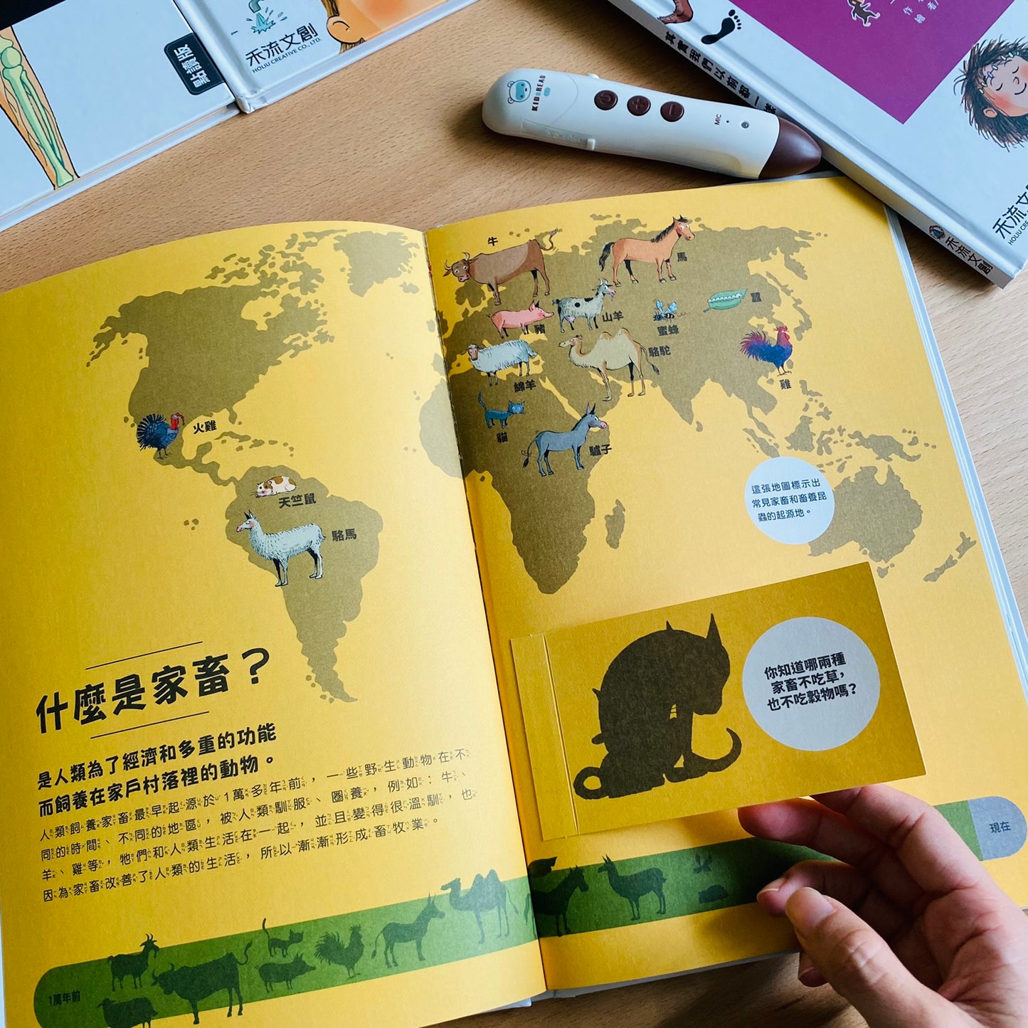 小腳丫從「我」到大世界 科普人類史套組