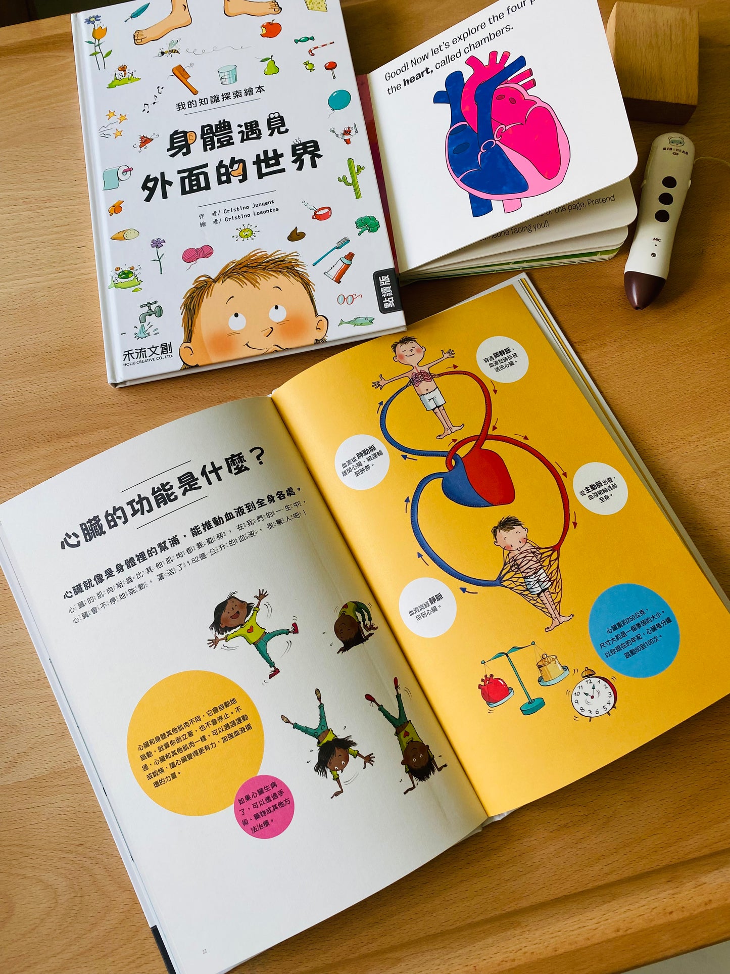 小腳丫從「我」到大世界 科普人類史套組