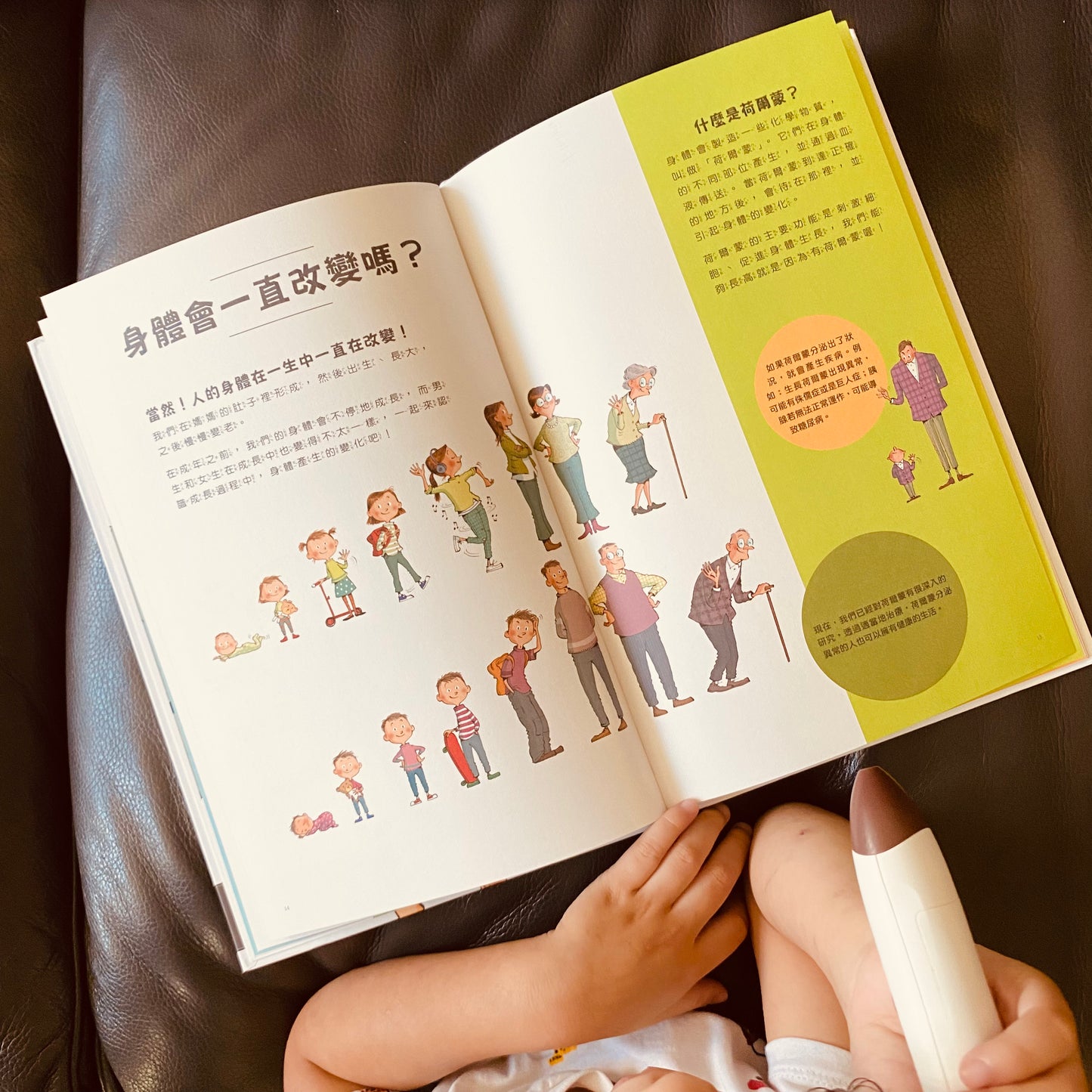 小腳丫從「我」到大世界 科普人類史套組