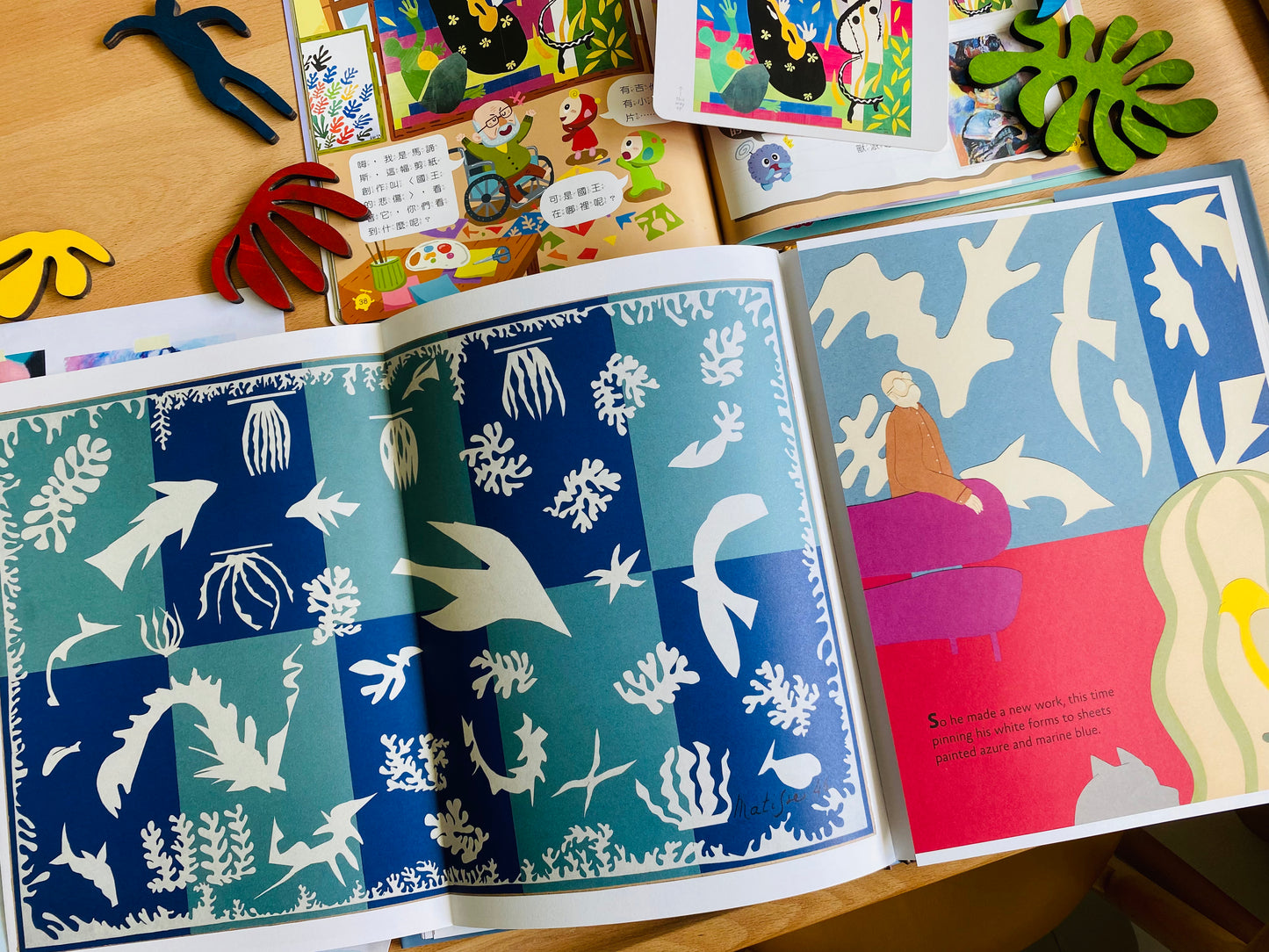 Matisse’s Garden (Hardcover)