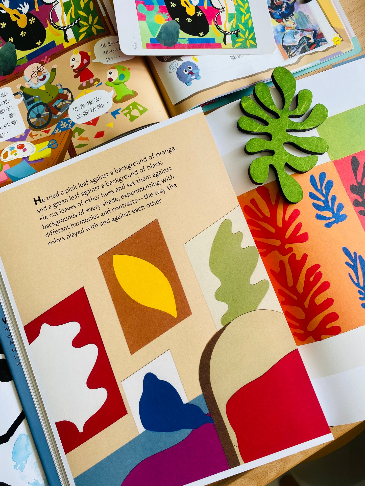 Matisse’s Garden (Hardcover)