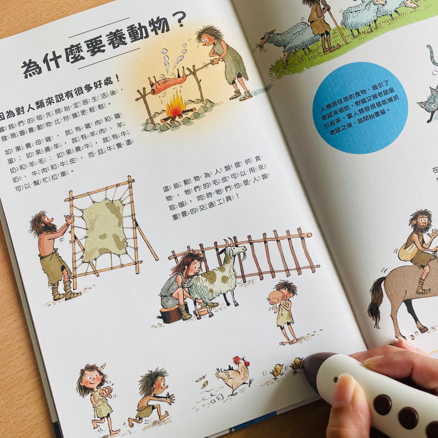 小腳丫從「我」到大世界 科普人類史套組