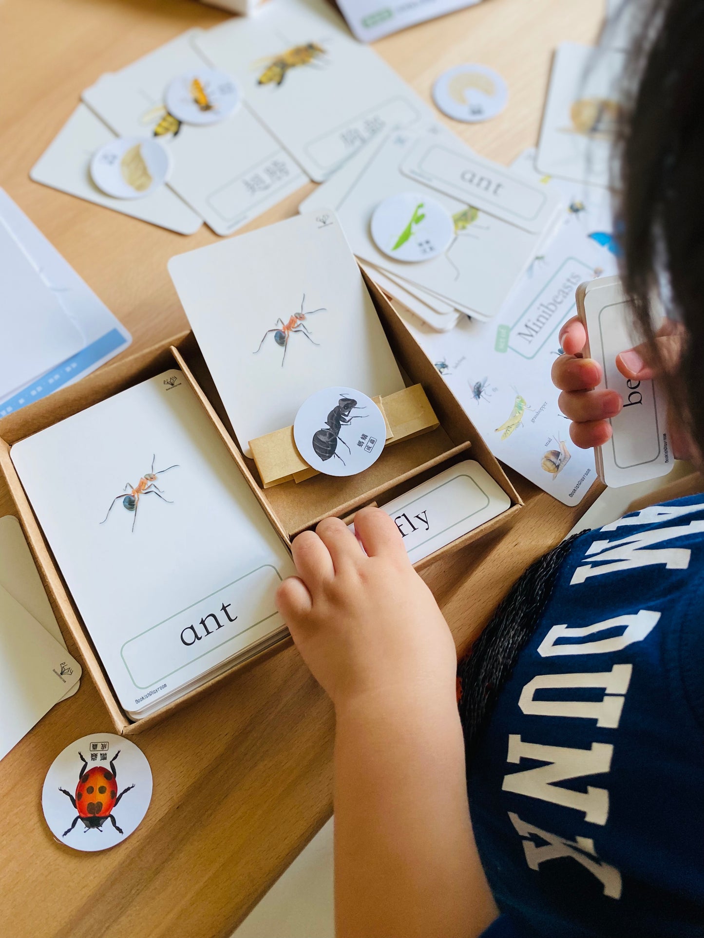 幼兒認知三部卡 (昆蟲朋友主題) 3 Part Cards (Minibeasts)