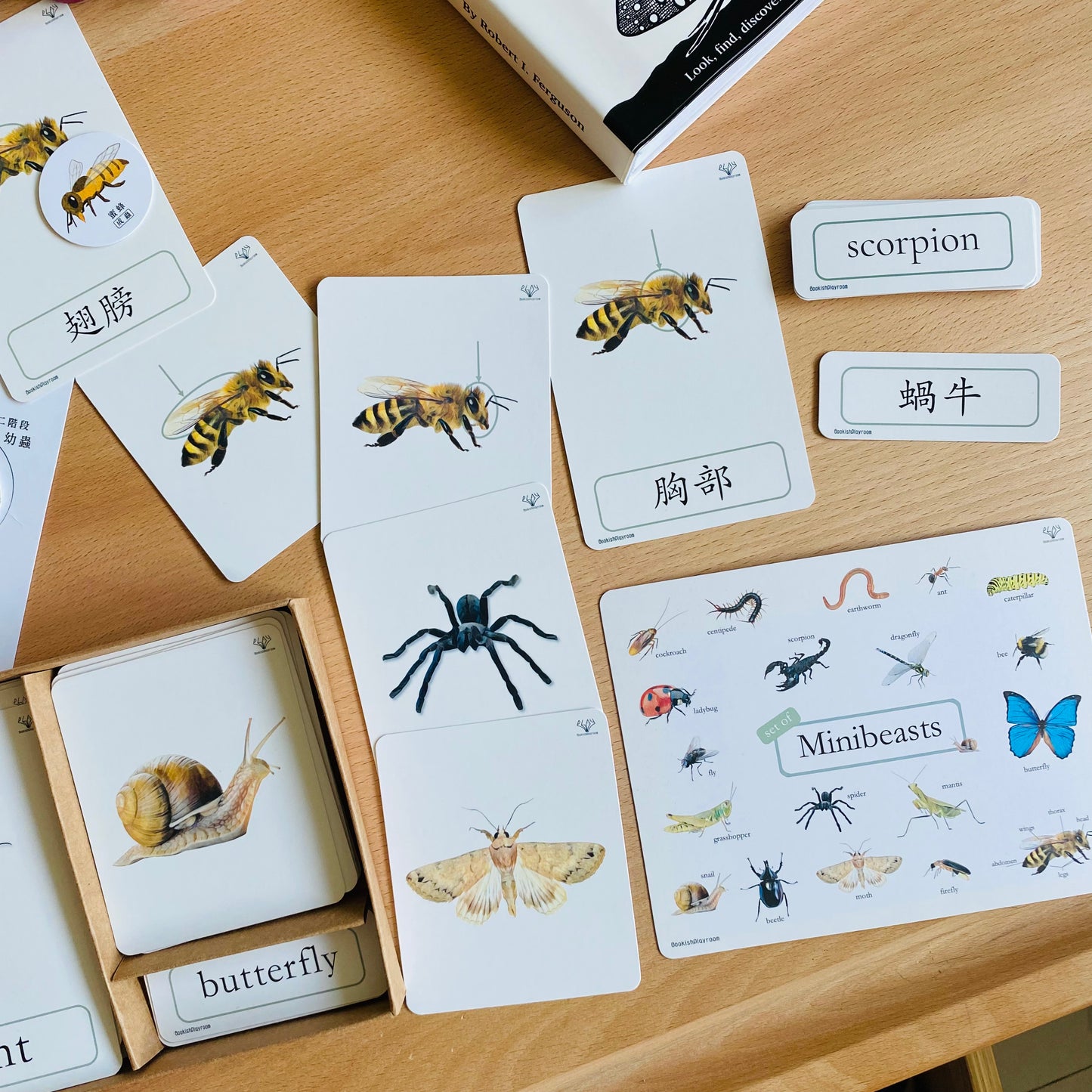 幼兒認知三部卡 (香港主題中英對照四盒套裝) Full Set of 3 Part Cards