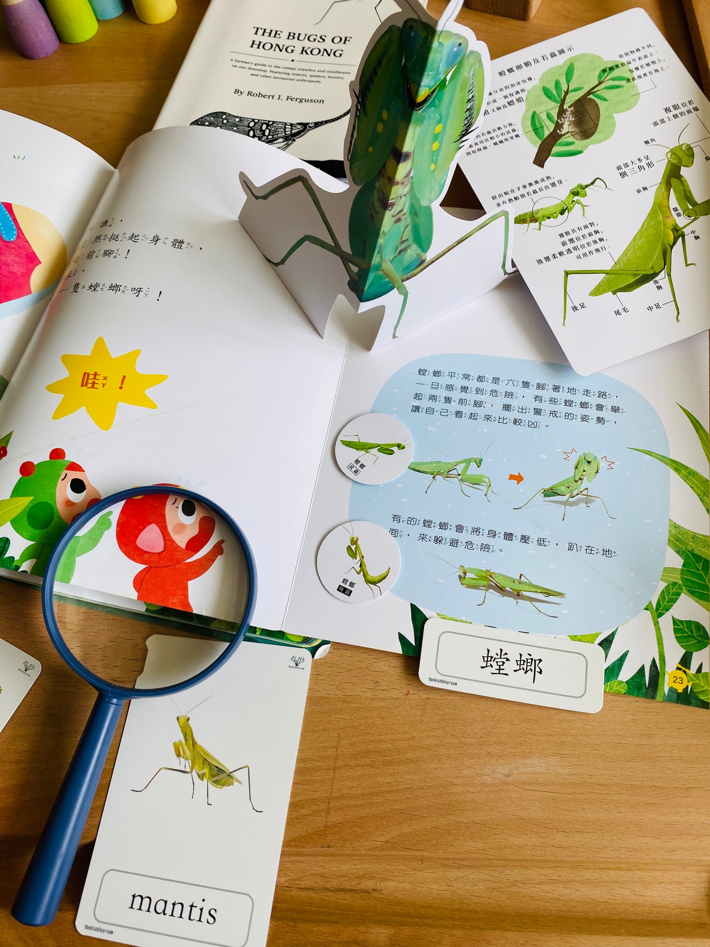 幼兒認知三部卡 (香港主題中英對照四盒套裝) Full Set of 3 Part Cards