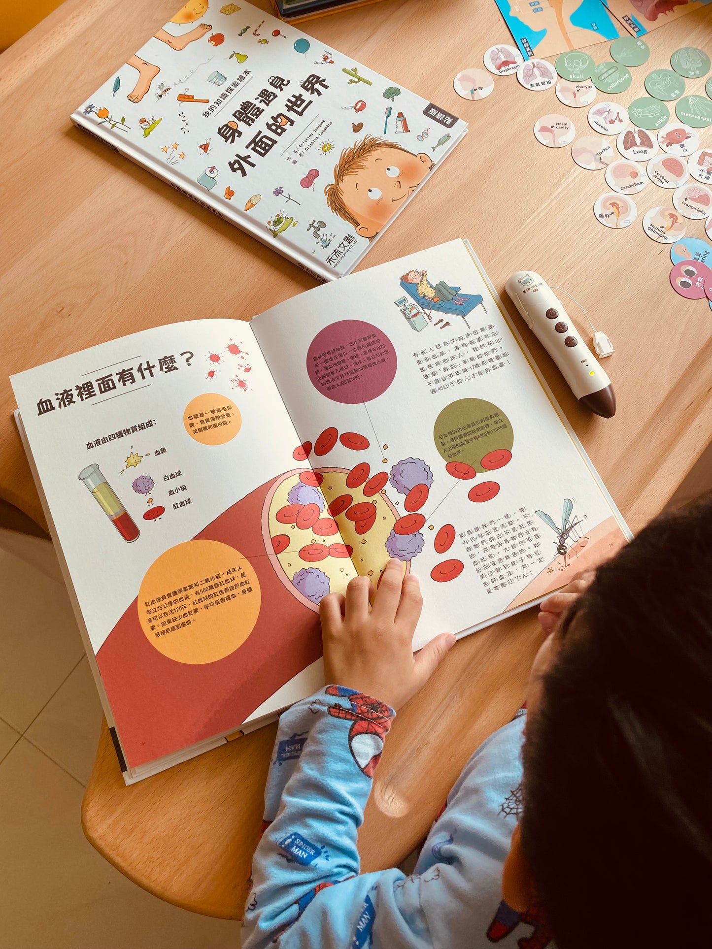 小腳丫從「我」到大世界 科普人類史套組