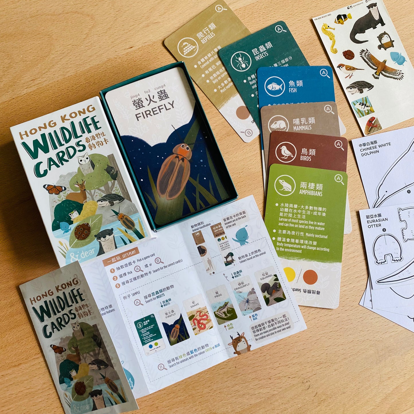 香港野生動物卡 Hong Kong Wildlife Cards(中英對照)