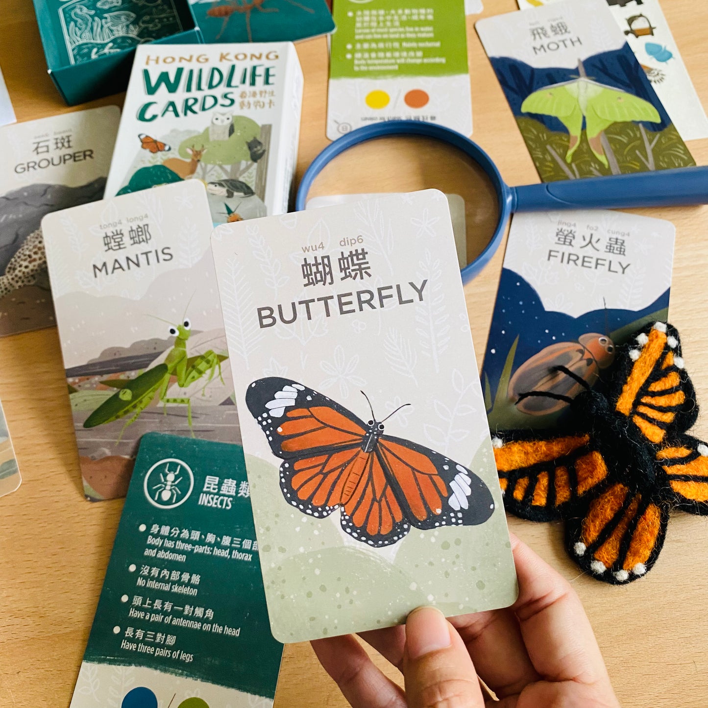 香港野生動物卡 Hong Kong Wildlife Cards(中英對照)