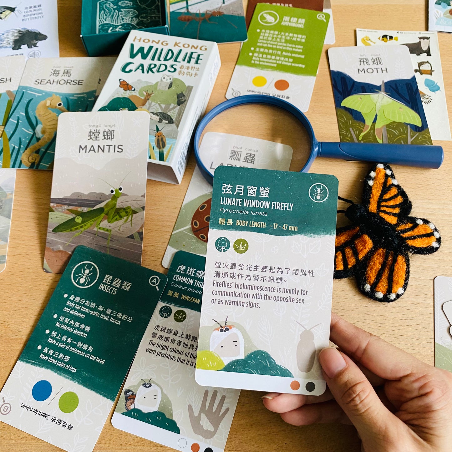 香港野生動物卡 Hong Kong Wildlife Cards(中英對照)