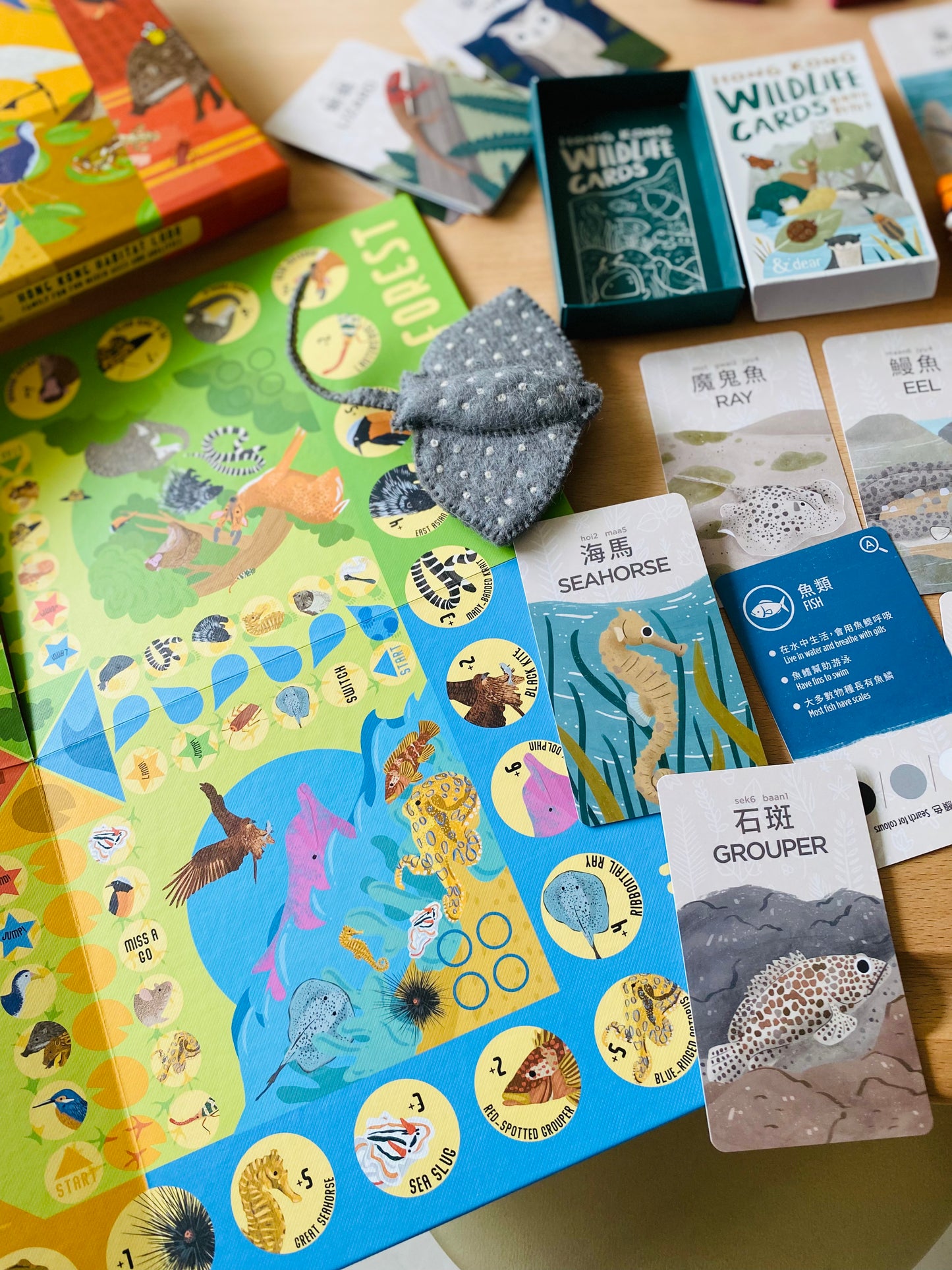 香港野生動物卡 Hong Kong Wildlife Cards(中英對照)