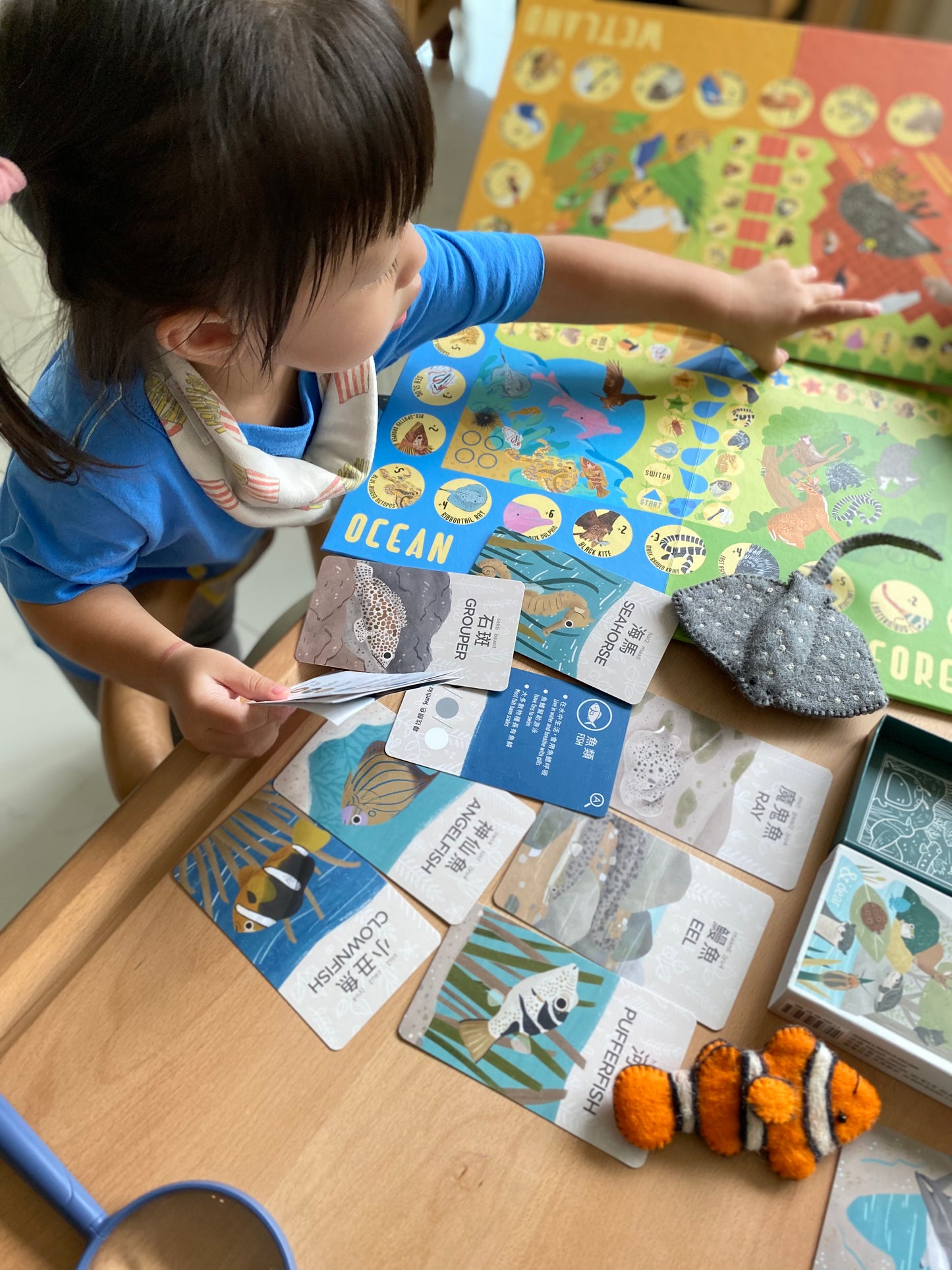 香港野生動物卡 Hong Kong Wildlife Cards(中英對照)
