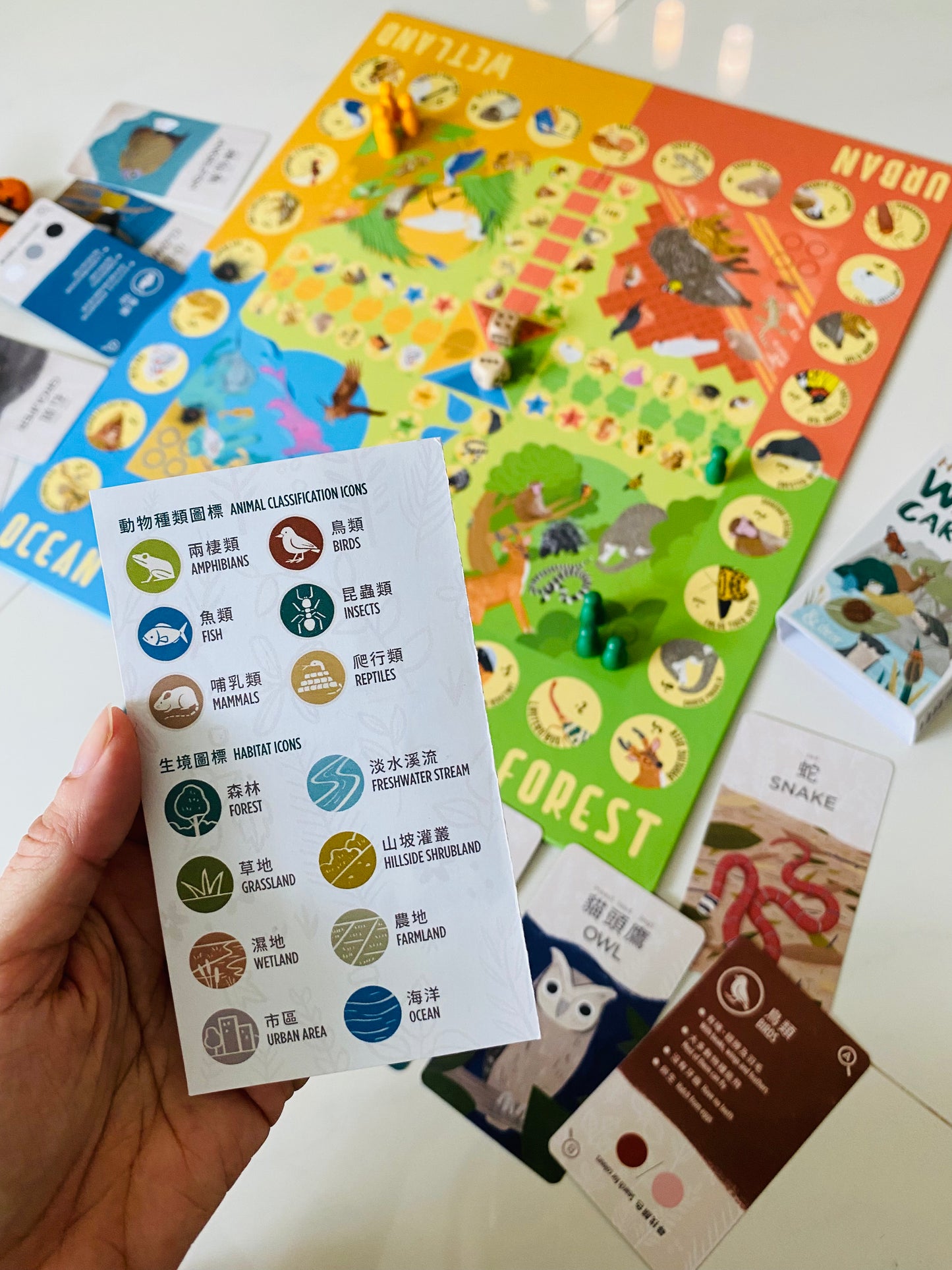 香港野生動物卡 Hong Kong Wildlife Cards(中英對照)