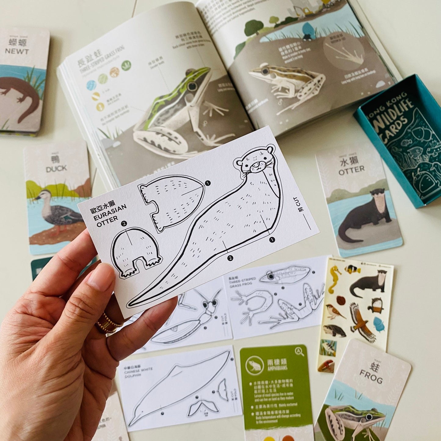 香港野生動物卡 Hong Kong Wildlife Cards(中英對照)