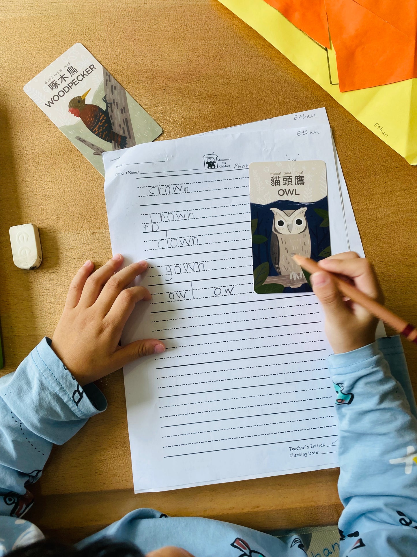香港野生動物卡 Hong Kong Wildlife Cards(中英對照)