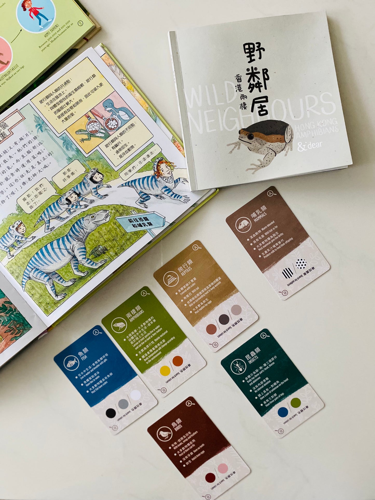 香港野生動物卡 Hong Kong Wildlife Cards(中英對照)